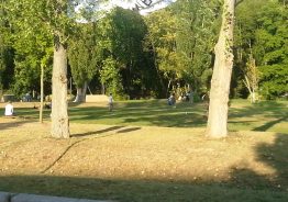 Viel Grün gibt´s im Nordstadtpark