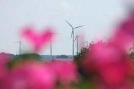 Windräder verschandeln die Landschaft?