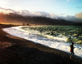 Kaikoura: Ein traumhafter Küstenort auf der Südhalbinsel Neuseelands mit Blick aufs Meer und auf die Berge