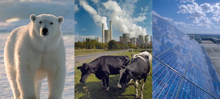 Energiewende- und Klimaschutzgesetz (c) WWF