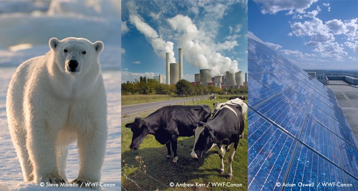 Energiewende- und Klimaschutzgesetz (c) WWF