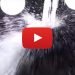 ALS Challenge SMA video