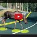 solar freakin' roadways