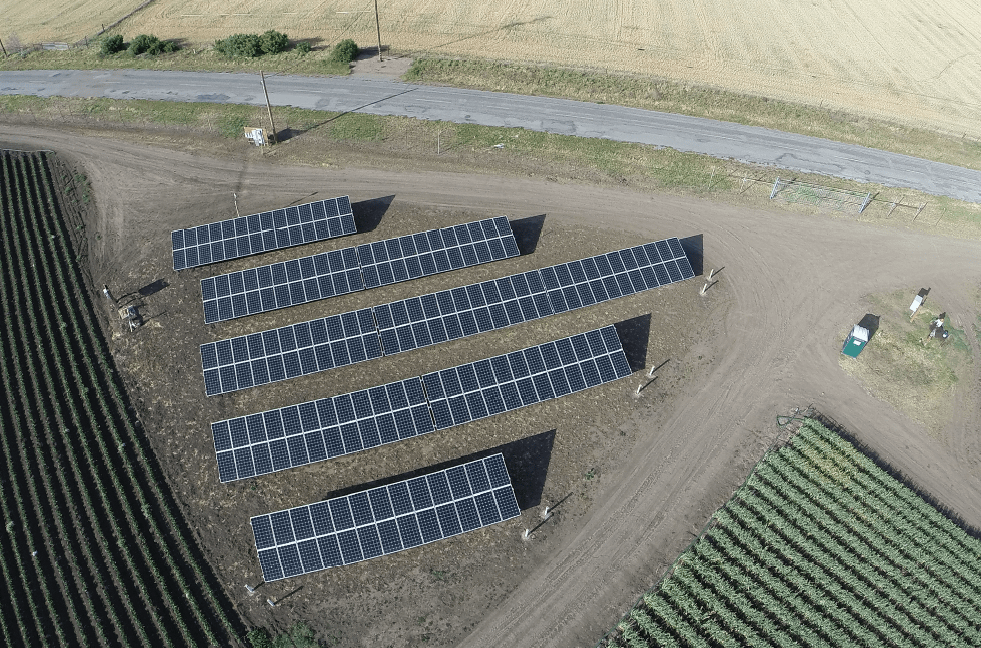The five-array system, as seen from above, bordering the farm’s crops.